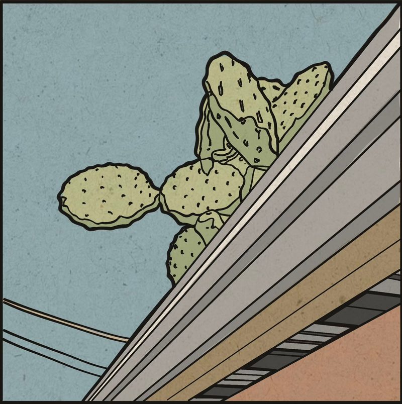 A hand-inked illustration looking up from below: speckled prickly pear pads leaning over the edge of a rain gutter, blue sky behind, terracotta rooftops beyond.