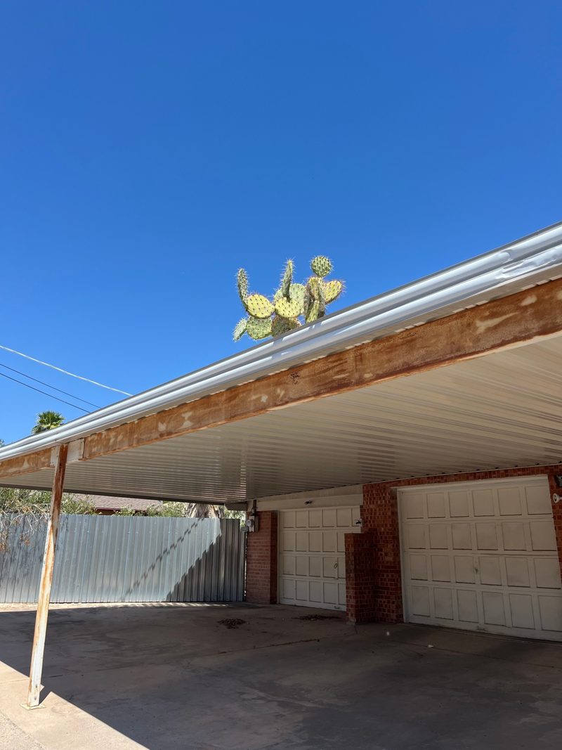A wide view of the carport: the prickly pear cactus rising out of the rain gutter along the roofline, against a deep blue sky.